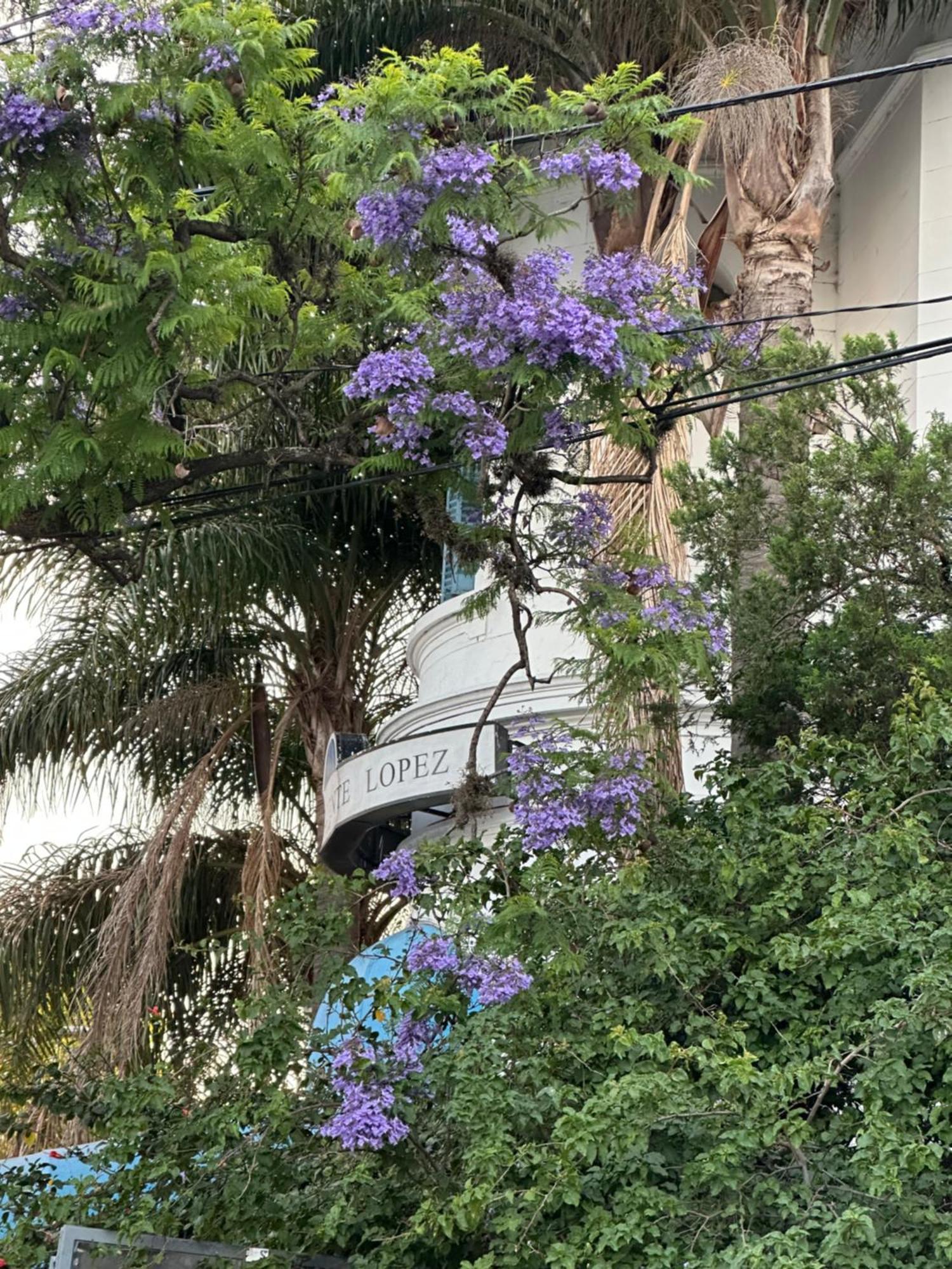 Hotel Vicente López 3*